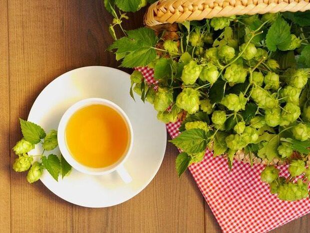 Hop çayı, gücü arttırmanın mükemmel bir yoludur