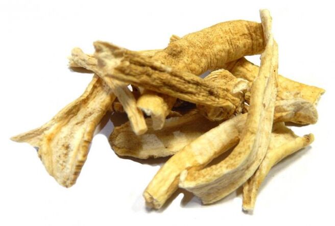 Zencefil